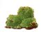 Adamite