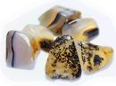 Agate Dendritic