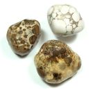 Agate Spotted