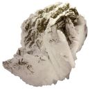 Albite