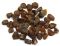 Bronzite