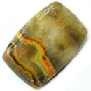 Jasper Bumble Bee