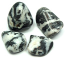 Jasper Zebra