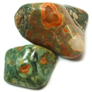 Rhyolite Rainforest